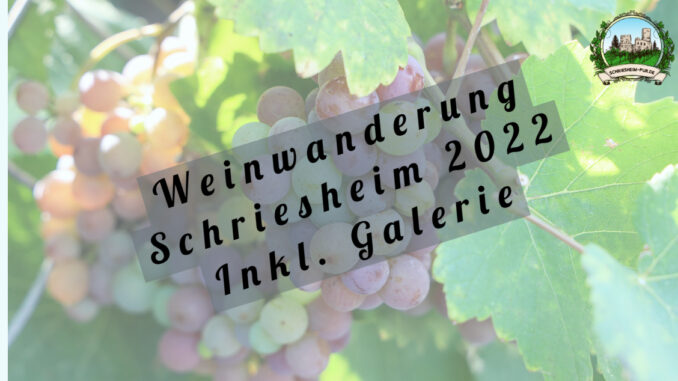 Weinwanderung Schriesheim 2022