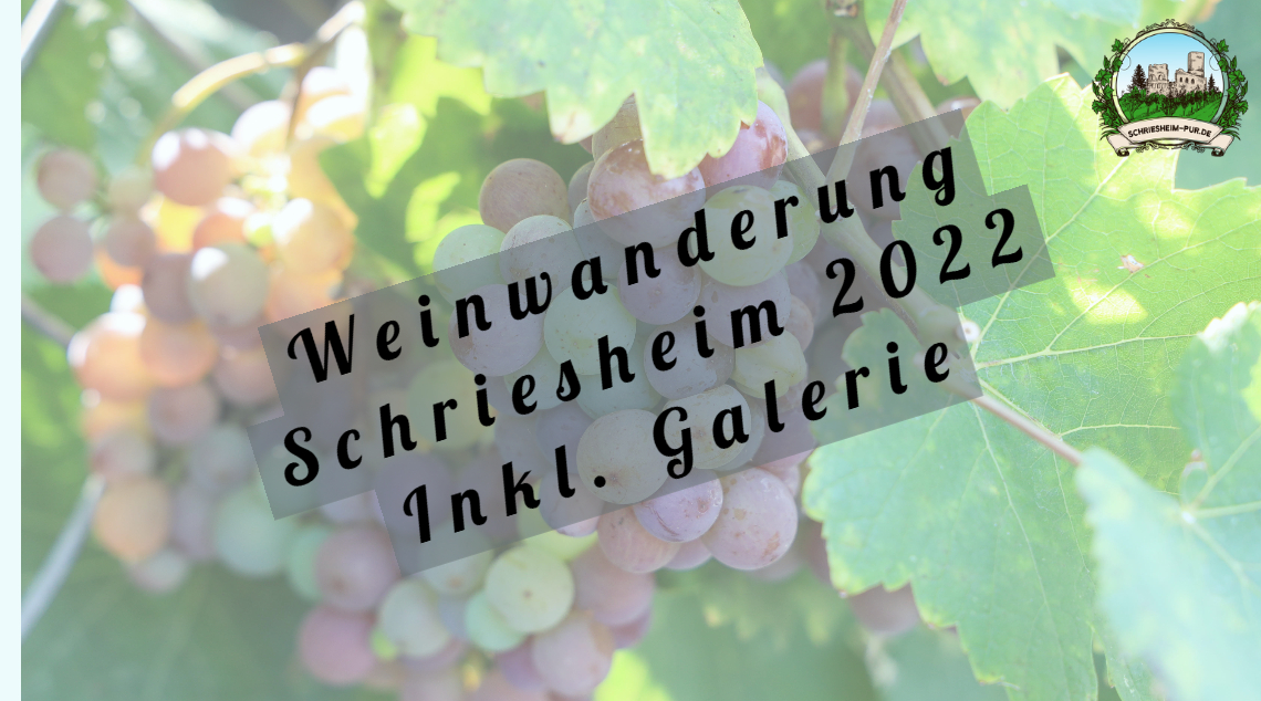 Weinwanderung Schriesheim 2022
